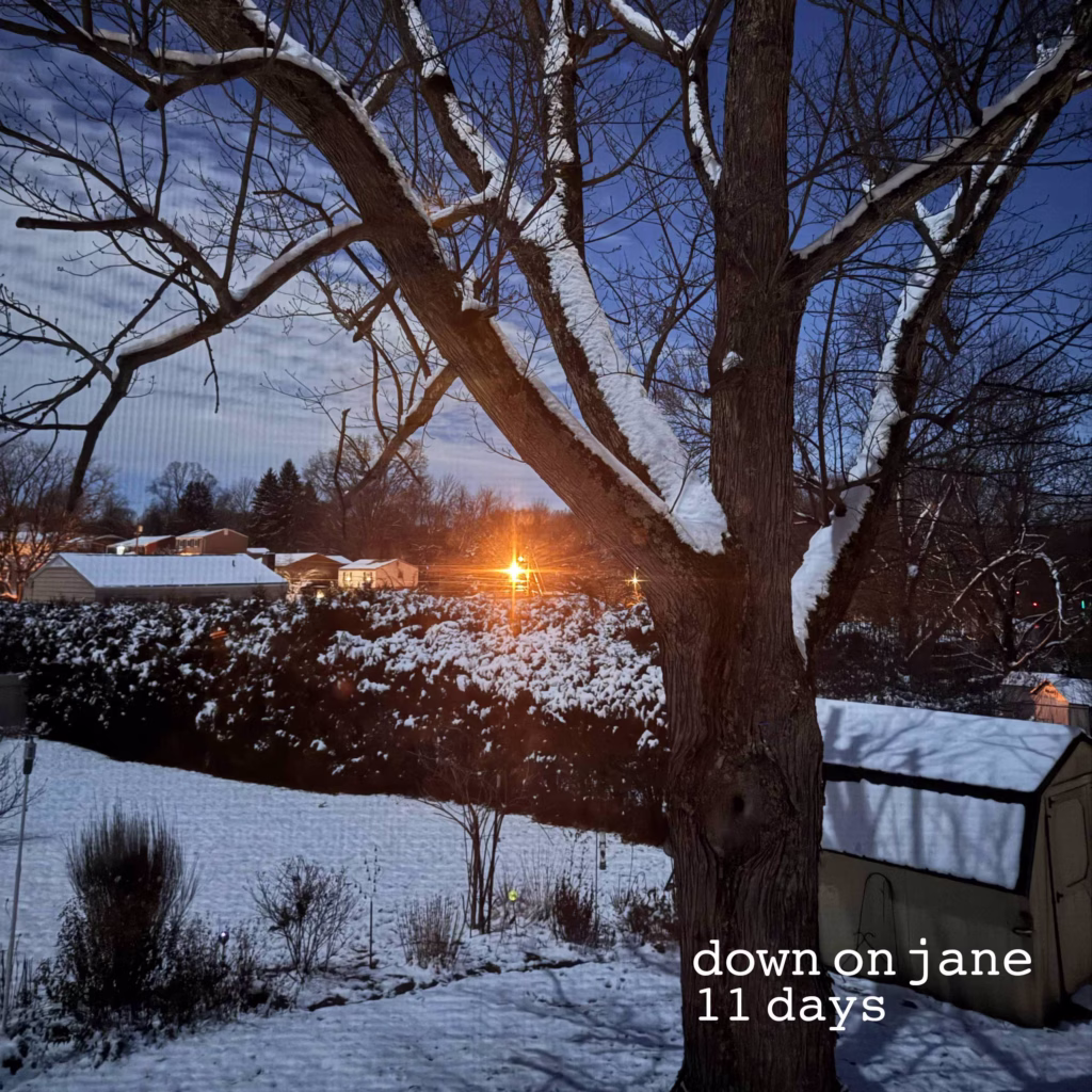 An album cover fro Down On Jane's 11 Days